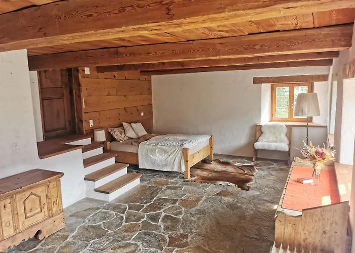 Appartement Rauft-perfekter Rueckzugsort Fuer Besondere Feierlichkeiten 2500 M2 Grundstueck Mitten In Der Hasliberg