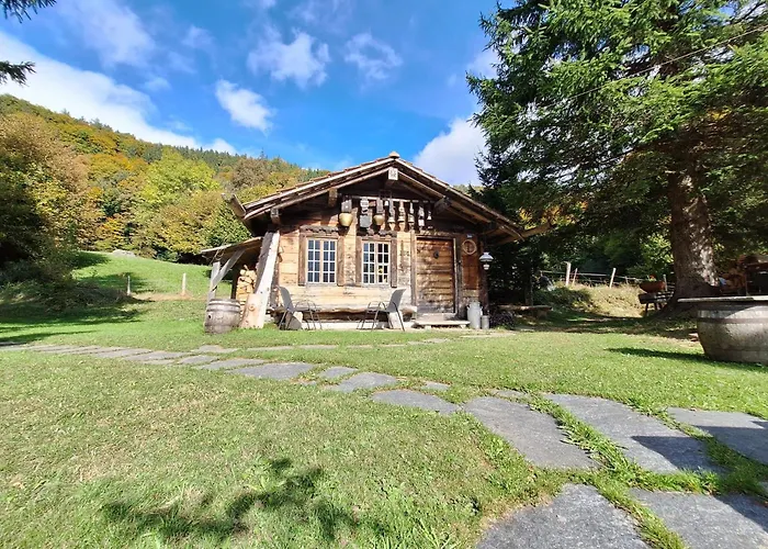 Appartement Rauft-perfekter Rueckzugsort Fuer Besondere Feierlichkeiten 2500 M2 Grundstueck Mitten In Der Hasliberg